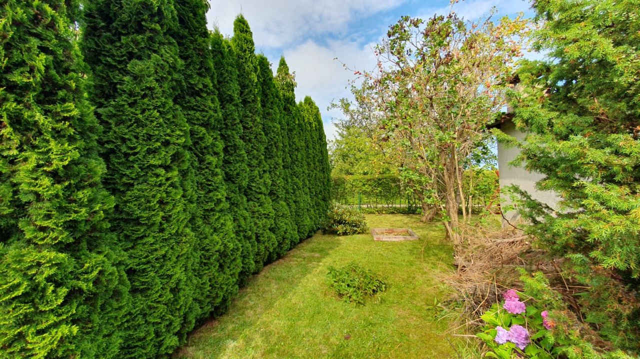 Działka rod Gdynia Babie Doły, ul. Zielona. Zdjęcie 2