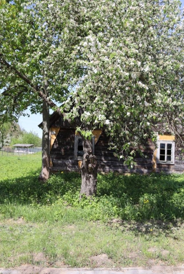 Działka rolno-budowlana Kłyzówka. Zdjęcie 6