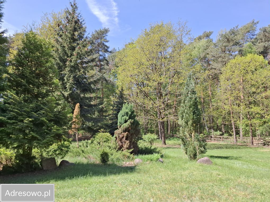 Działka Sierakówek. Zdjęcie 5