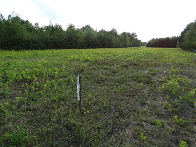 Działka budowlana Bębnów. Zdjęcie 1