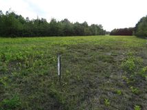 Działka budowlana Bębnów