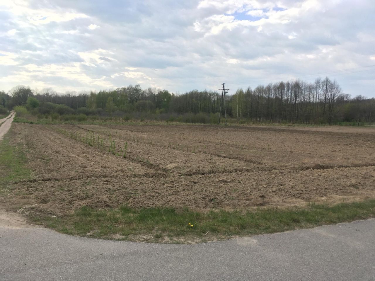 Działka rolno-budowlana Bratoszewice, ul. Zatorze