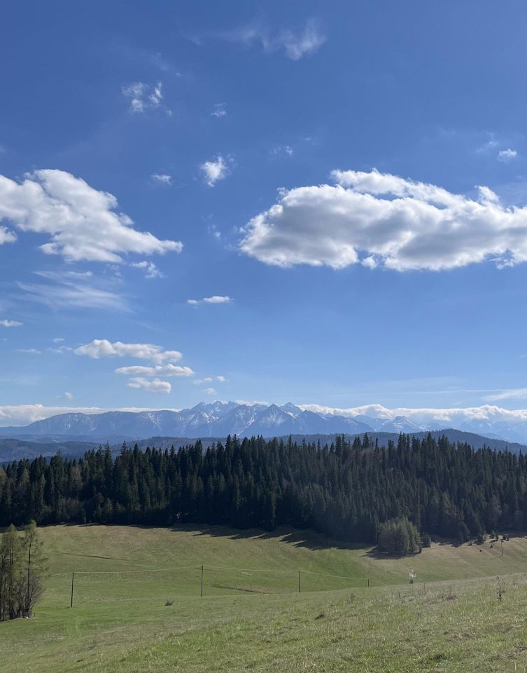 Działka siedliskowa Łapsze Niżne Za Czarną Górą, ul. Czarna. Zdjęcie 2