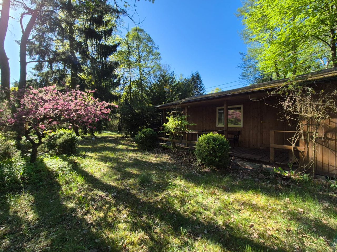 Działka rekreacyjna Popowo-Parcele, Dębowa. Zdjęcie 4