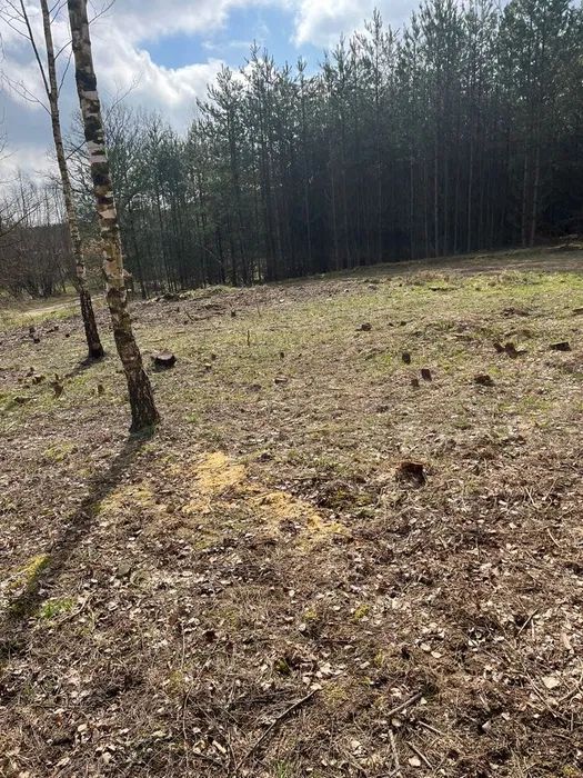 Działka budowlana Nowa Karczma Horniki Górne. Zdjęcie 5