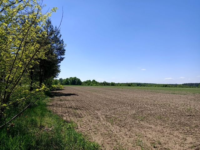 Działka rolna Trzebule. Zdjęcie 1