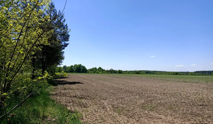 Działka rolna Trzebule