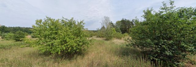 Działka rolna Warszawa Białołęka, ul. Ślepa. Zdjęcie 1