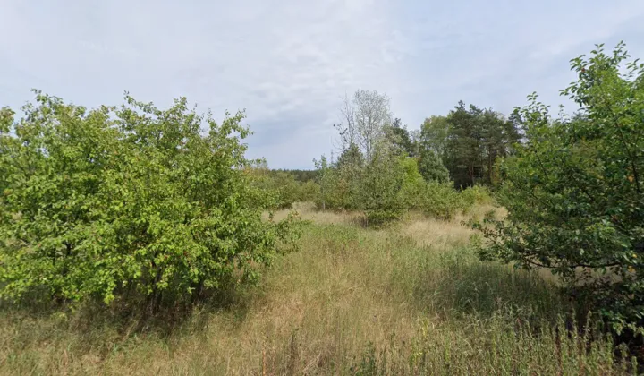 Działka rolna Warszawa Białołęka, ul. Ślepa