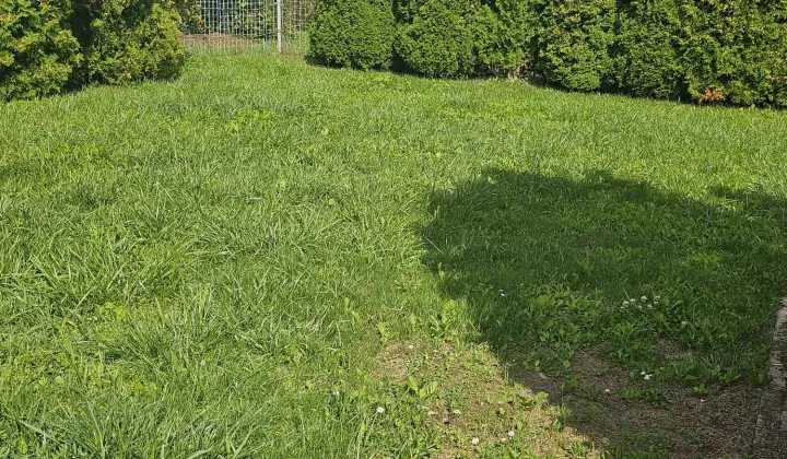 Działka rod Czeladź, ul. Będzińska