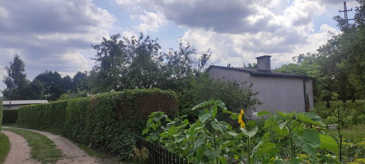 Zdjęcie 3
