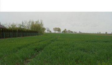 Działka budowlana Papowo Toruńskie, ul. Kasztanowa