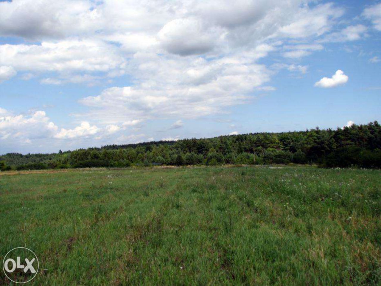 Działka budowlana Kazimierz Dolny. Zdjęcie 2