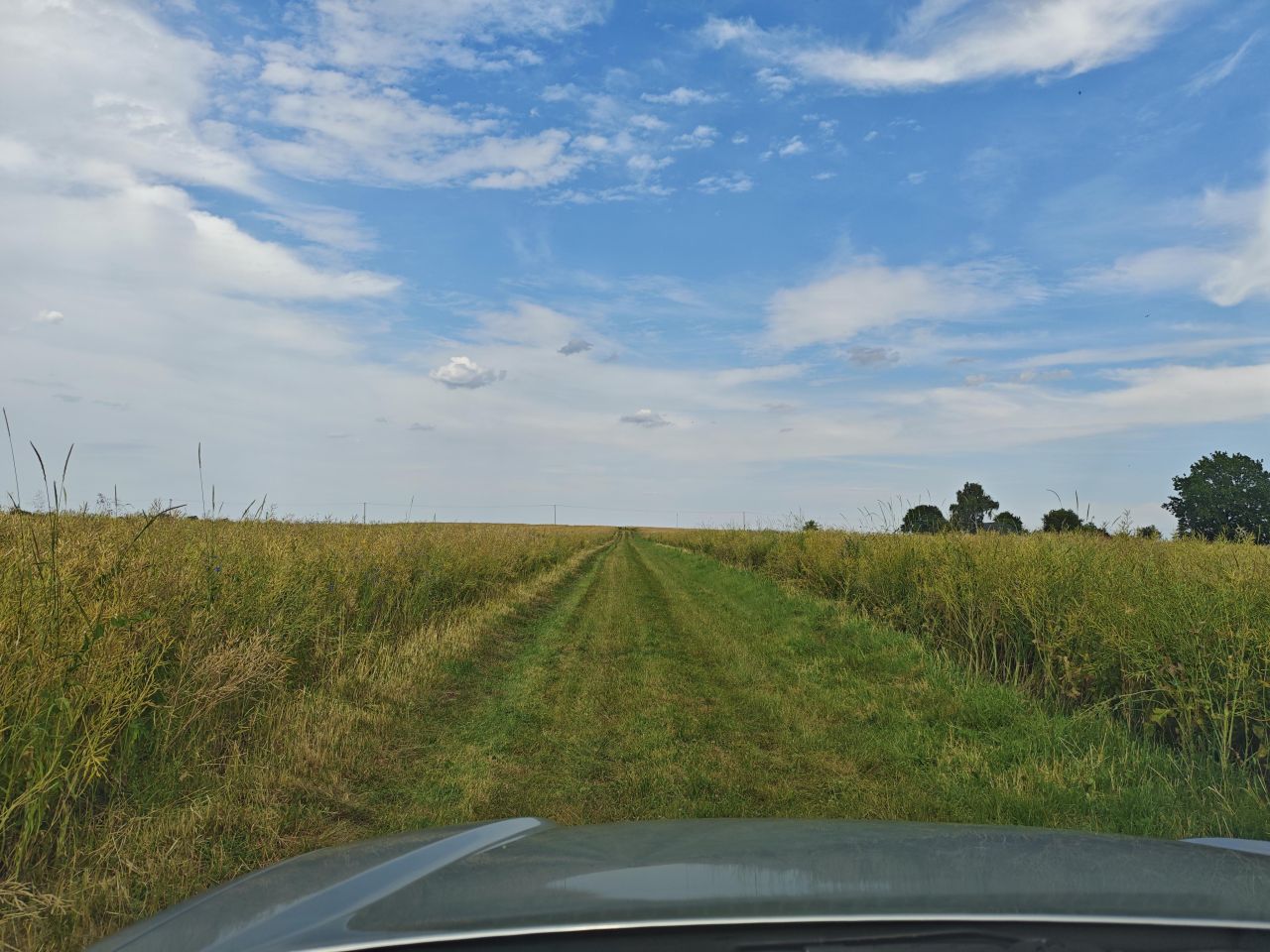 Działka rolno-budowlana Stawki Szkorutyniec. Zdjęcie 7