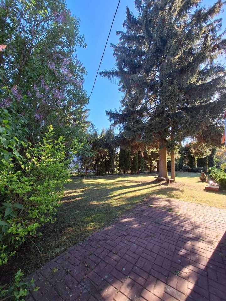 Działka rod Łódź Polesie, ul. Biegunowa. Zdjęcie 3