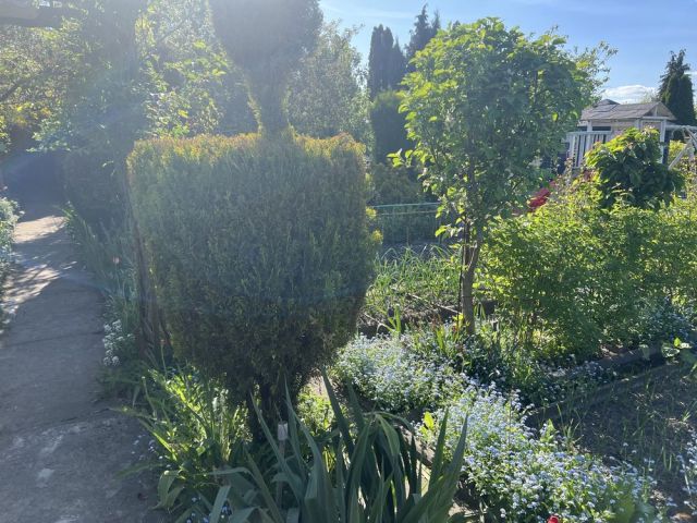 Działka rekreacyjna Gliwice Sośnica. Zdjęcie 1