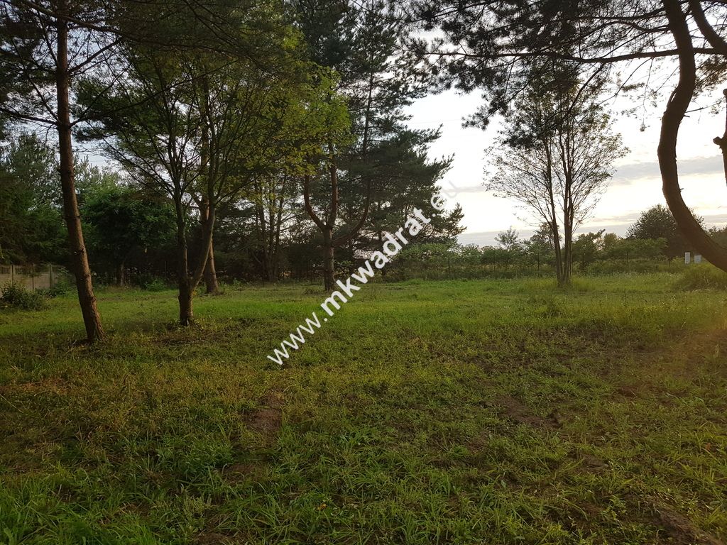 Działka budowlana Radziejowice-Parcel. Zdjęcie 1