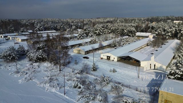 Działka inwestycyjna Wysoka Głogowska. Zdjęcie 10