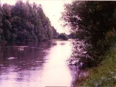 Działka rekreacyjna Strachów, ul. Klonowa. Zdjęcie 3