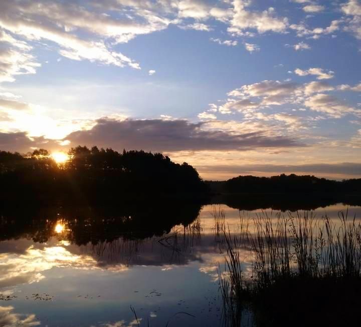 Działka rolno-budowlana Bytnica. Zdjęcie 9