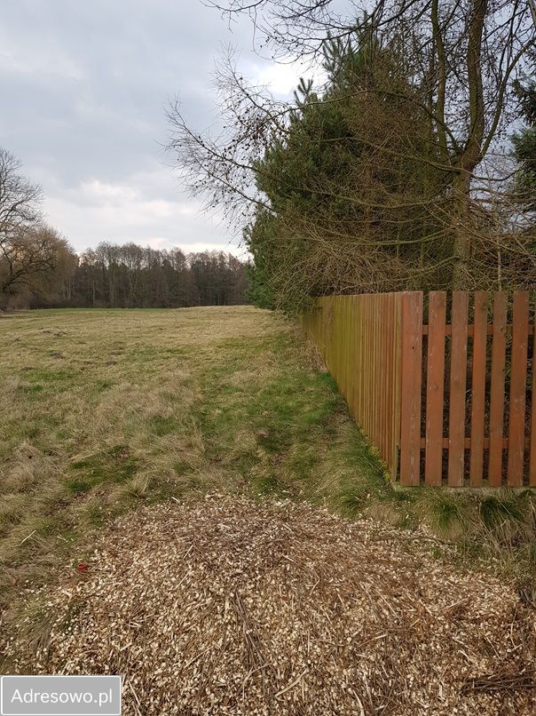 Działka rolna Ossówno. Zdjęcie 4
