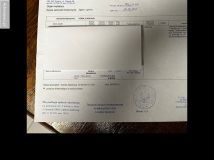 Działka leśna Wola Branicka. Zdjęcie 1