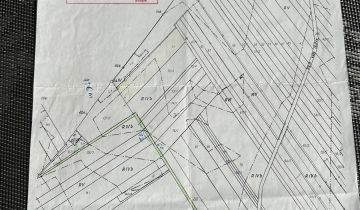 Działka leśna Kolonia Bogoria