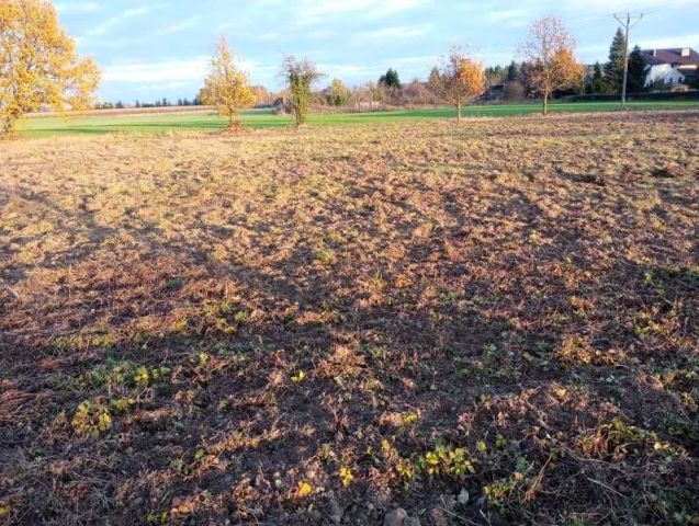 Działka budowlana Stare Strącze. Zdjęcie 1