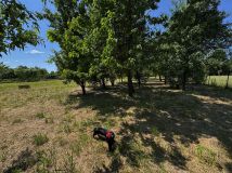 dom wolnostojący Jędrzejów. Zdjęcie 4