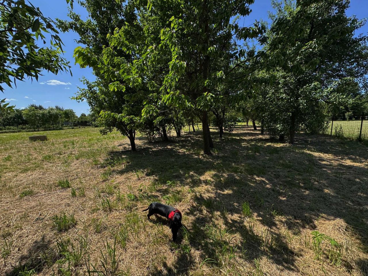 dom wolnostojący Jędrzejów. Zdjęcie 5