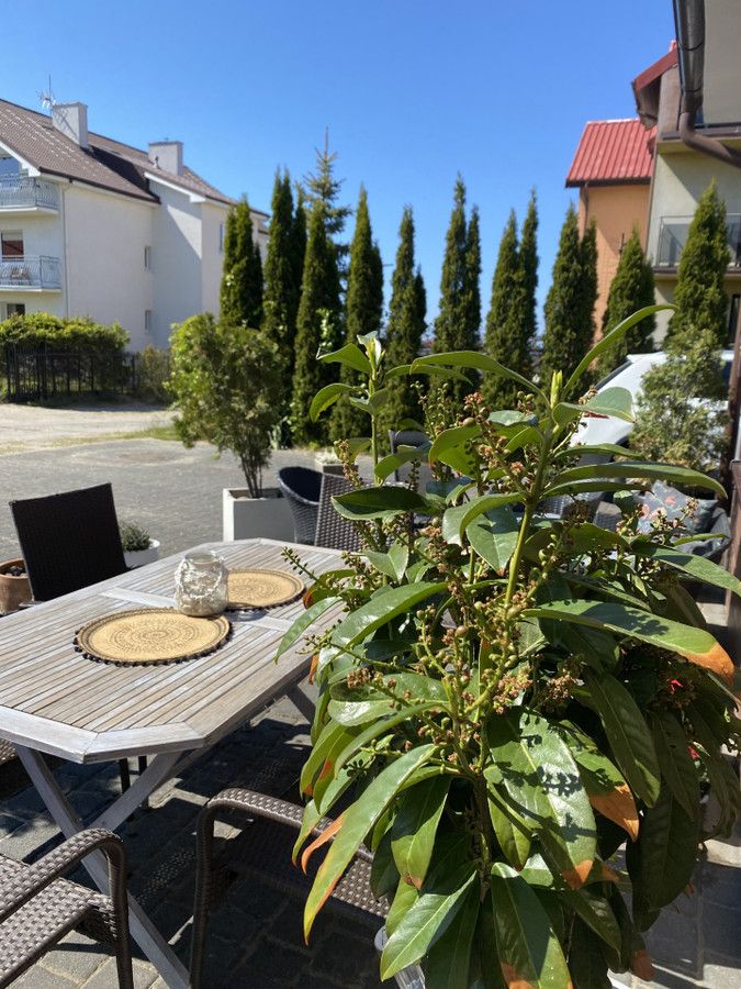 Hotel/pensjonat Jastrzębia Góra, ul. Wiejska. Zdjęcie 3