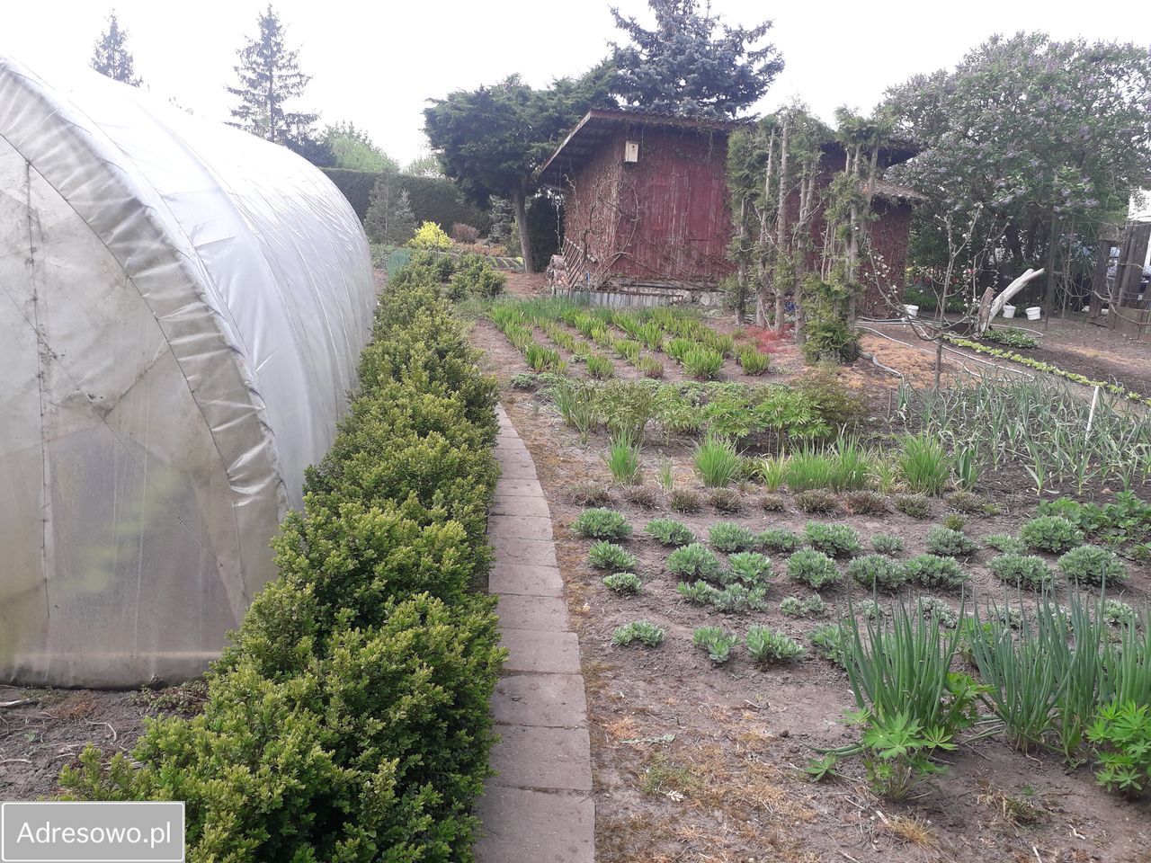 Działka budowlana Aleksandrów Kujawski, ul. Stanisława Wyspiańskiego