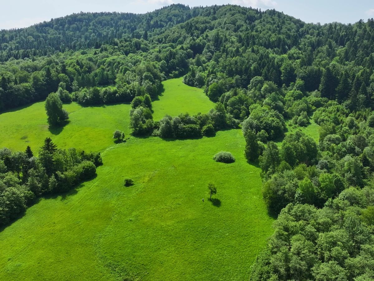 Działka rolna Baligród. Zdjęcie 3