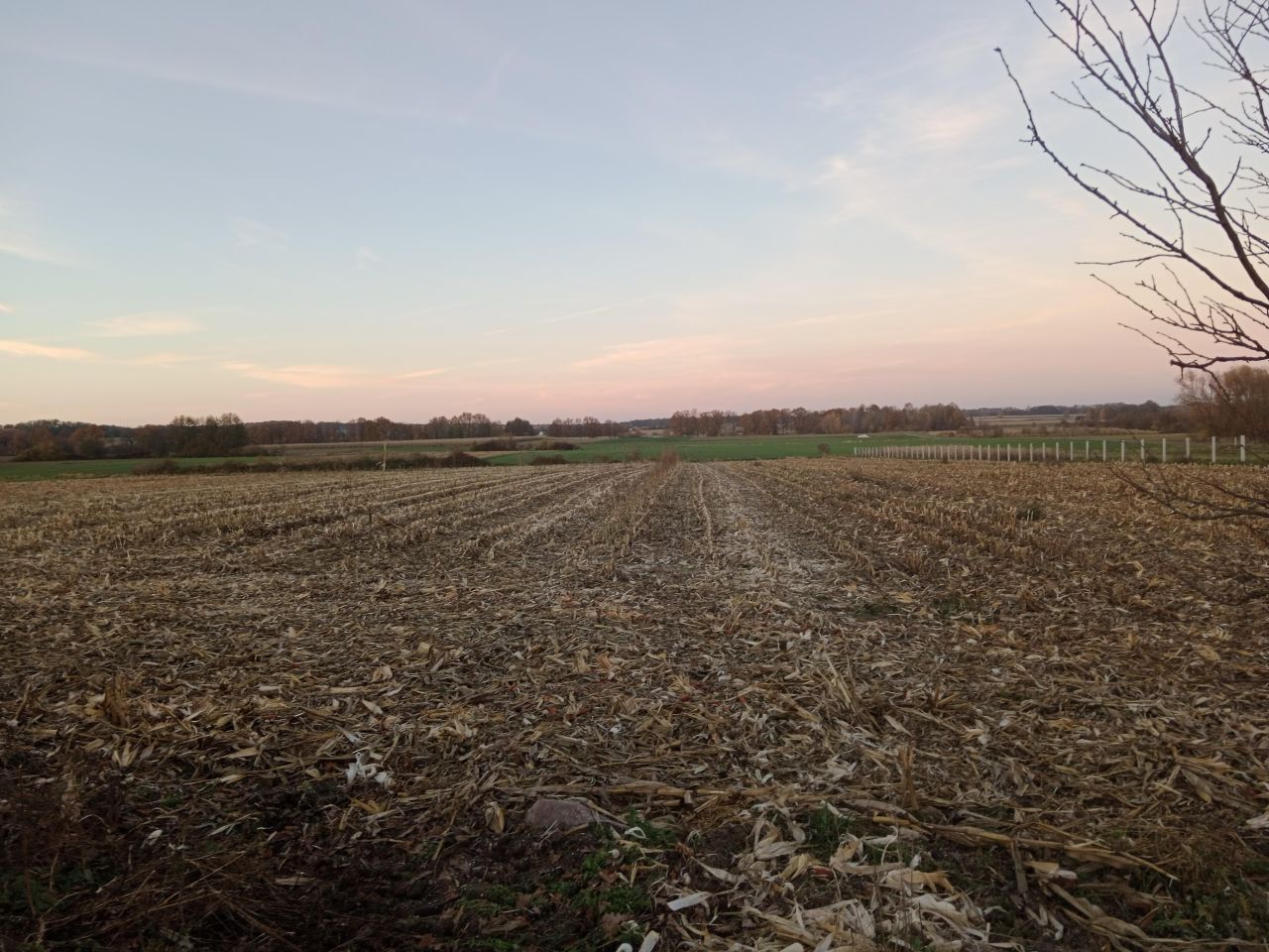 Działka rolno-budowlana Rudawa. Zdjęcie 3