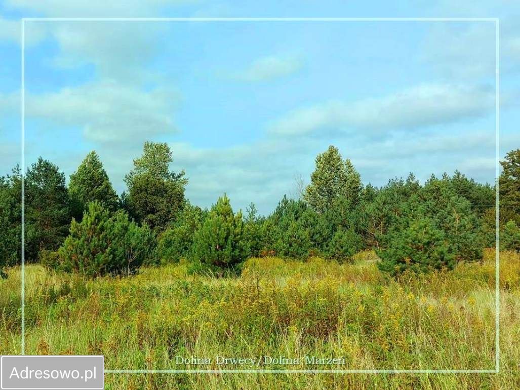 Działka budowlana Krobia, ul. Dolina Drwęcy. Zdjęcie 12