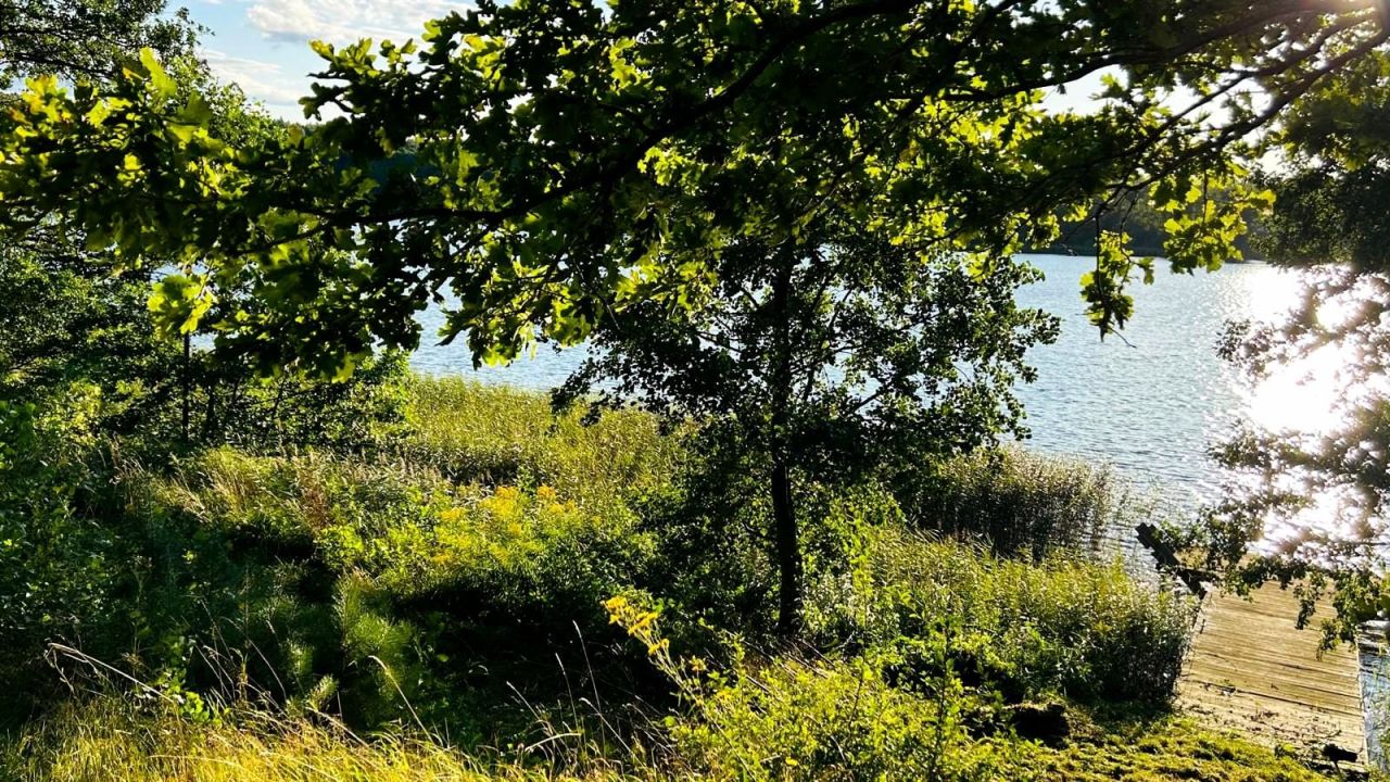 Działka rolno-budowlana Jabłonowo. Zdjęcie 4