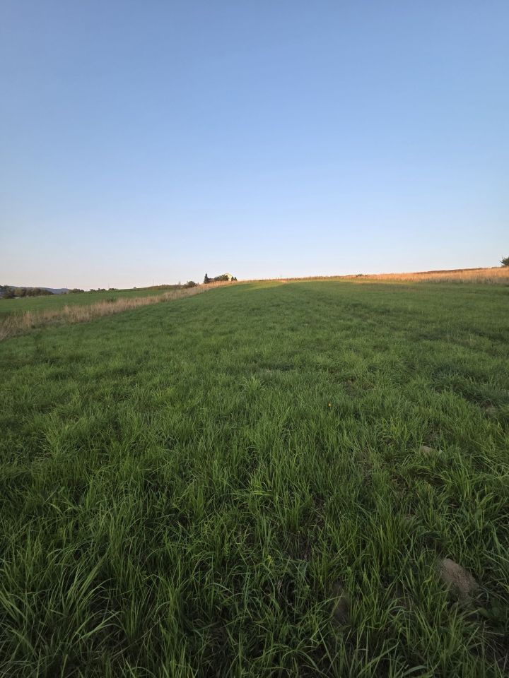 Działka rolna Gilowice. Zdjęcie 2