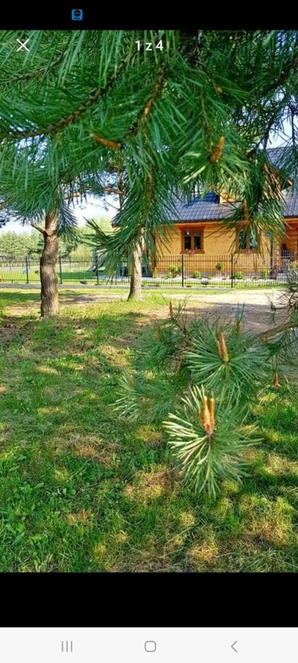 Działka budowlana Chełm Bazylany. Zdjęcie 2