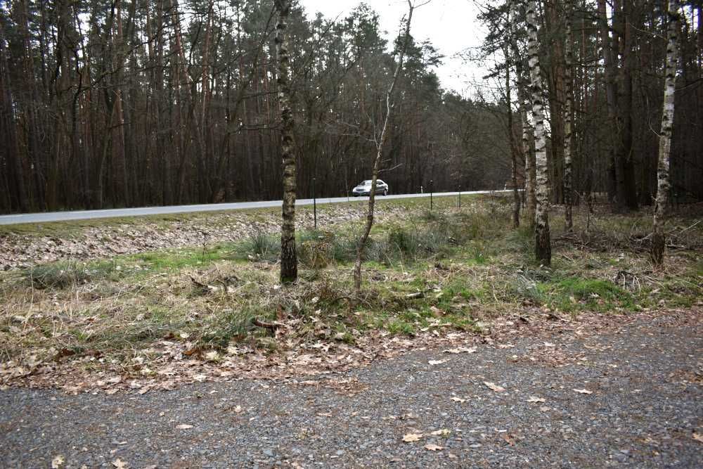 Działka leśna Smolarnia. Zdjęcie 6