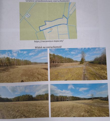 Działka rolna Breńsk. Zdjęcie 1