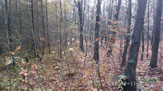 Działka inna Mysłowice Wesoła, ul. Zacisze. Zdjęcie 4