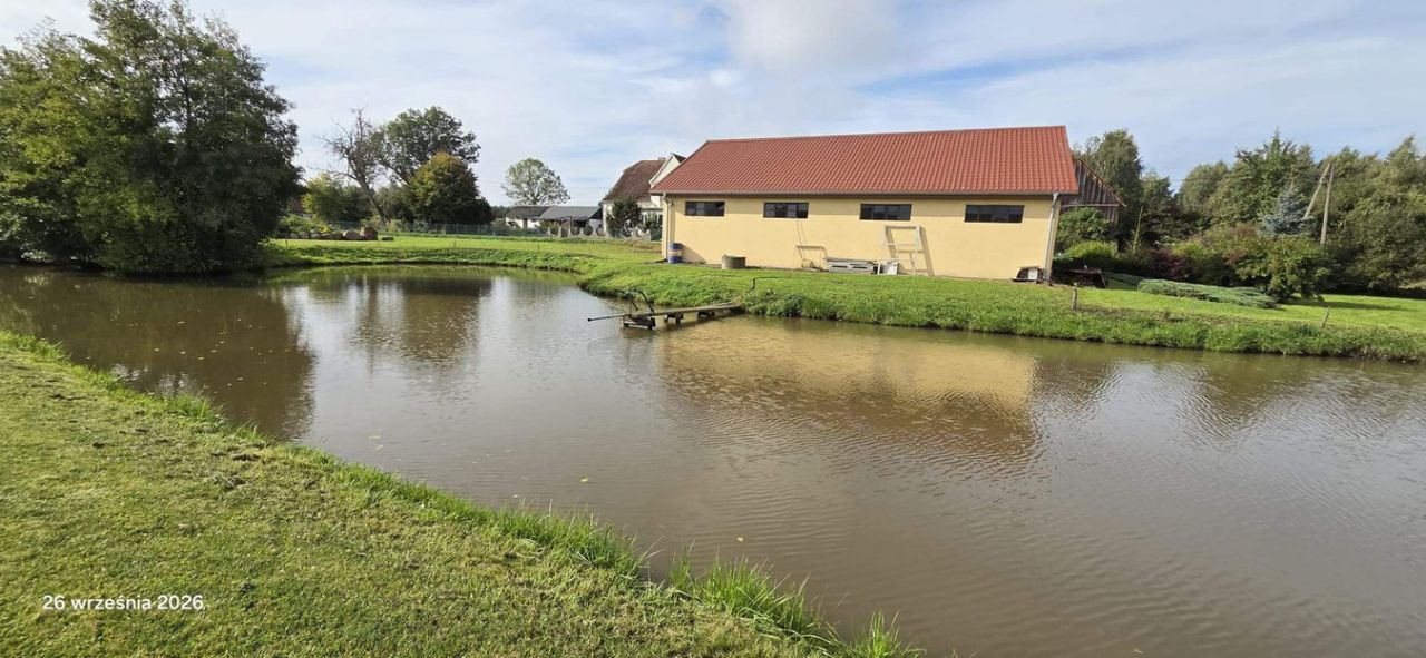 Działka siedliskowa Buczyniec. Zdjęcie 13