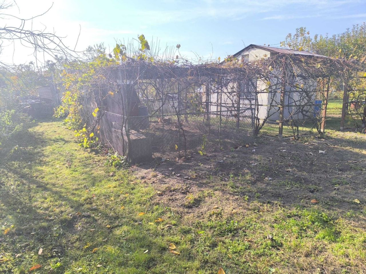 Działka rod Jelcz-Laskowice. Zdjęcie 2