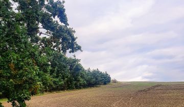 Działka budowlana Nasławice, ul. 1 Maja