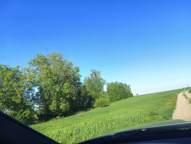 Działka rolno-budowlana Trąbin-Rumunki. Zdjęcie 1