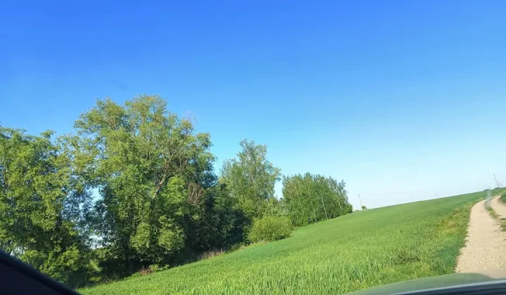 Działka rolno-budowlana Trąbin-Rumunki