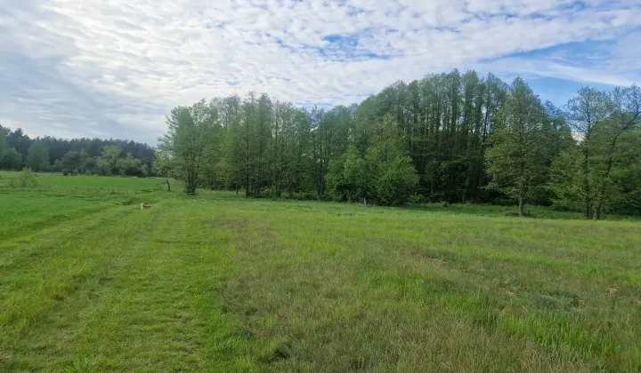 Działka rolna Pogorzałki