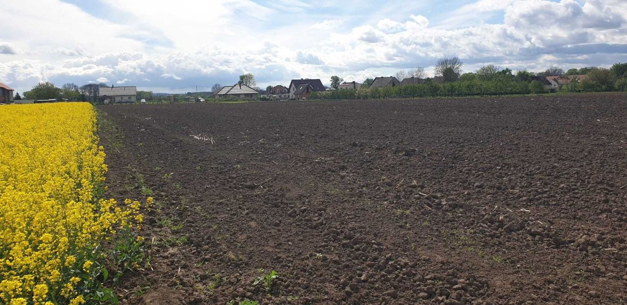 Działka budowlana Opatowice. Zdjęcie 4