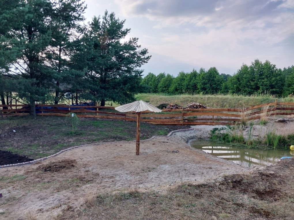 Działka rekreacyjna Borsk. Zdjęcie 5