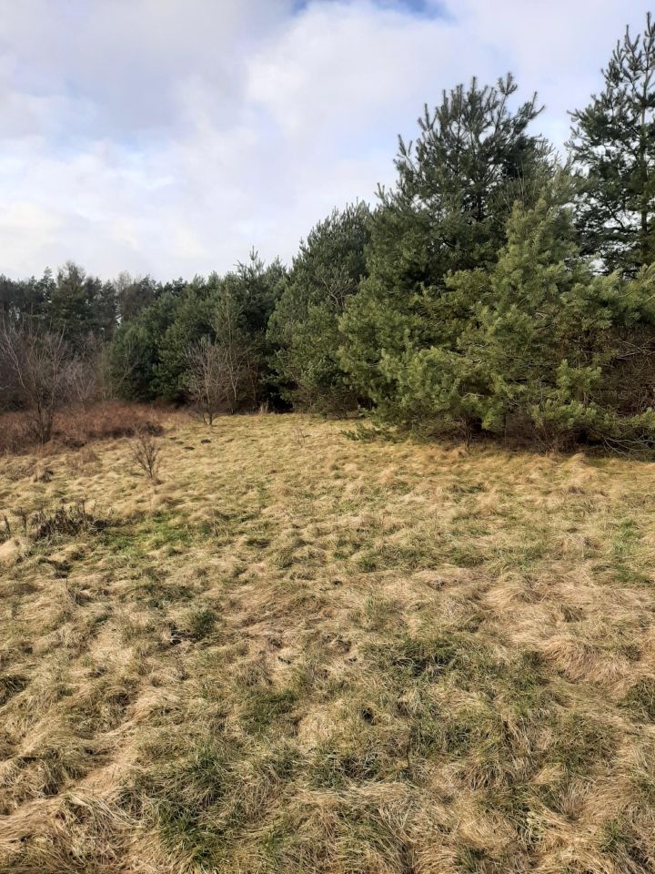 Działka budowlana Bargłówka, ul. Raciborska. Zdjęcie 11